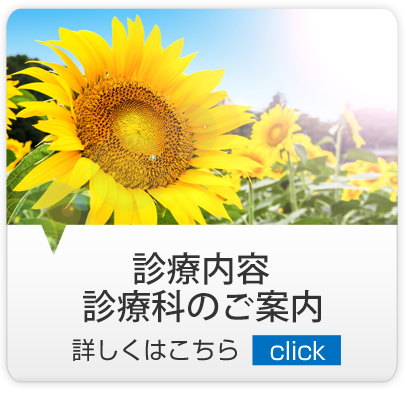 診療内容｜練馬区,西大泉,クリニック,佐伯医院,内科,皮膚科